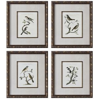 Uttermost Set of 4 Nozeman Birds I IV Framed Wall Art   #V4005
