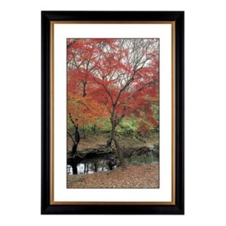 Red Autumn Giclee 41 3/8" Wide Wall Art   #54265 80384