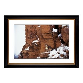 Mountain Perch Giclee 41 3/8" Wide Wall Art   #55287 80384