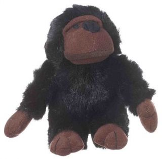 look who s talking chimp are dog toys that speak for themselves they