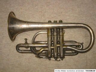 Very Old Cornet York and Sons Monarch w Lionhead