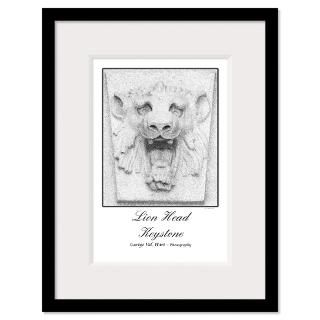 Lions Posters & Prints