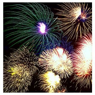 celebration of fireworks lighting up the sky for $23.00