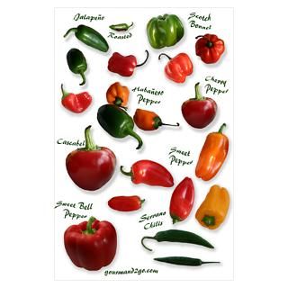 Wall Art  Posters  Hot Chili Peppers Poster