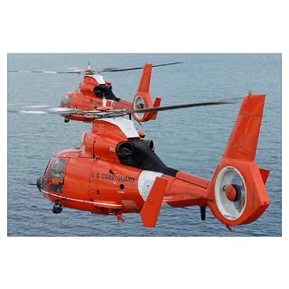 Two Coast Guard HH 65C Dolphin helicopters fly in Poster