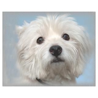 Wall Art  Posters  Westie Wonder Poster