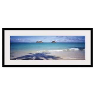 Shadow of a tree on the beach, Lanikai Beach, Oahu Framed Print