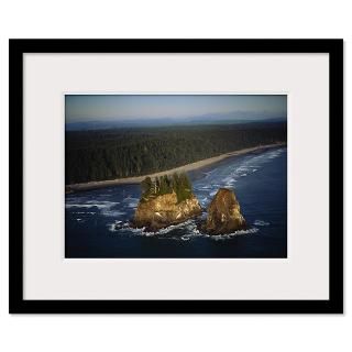 Aerial view of a forest along a coastline, Olympic Framed Print