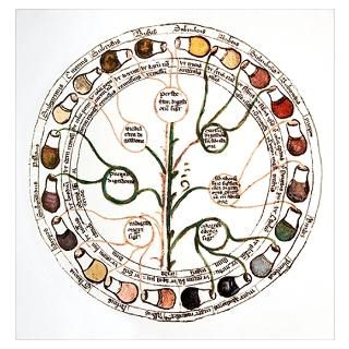 Wall Art  Posters  Medieval urine wheel Poster