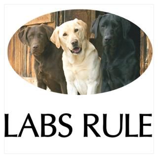 Wall Art  Posters  Labs Rule Poster