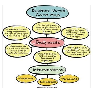 Wall Art  Posters  Student Nurse Care Map Poster