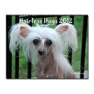 2013 Hairless Dogs Calendar 2013 Wall Calendar by xolorescue