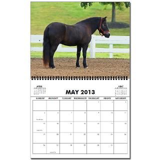 2009 Endangered Horses 2013 Wall Calendar by paintingpony