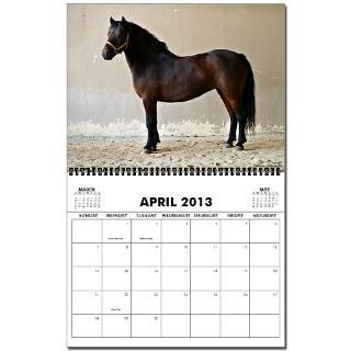 2009 Endangered Horses 2013 Wall Calendar by paintingpony
