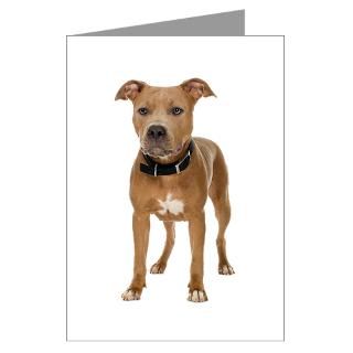 Dog Gifts  Dog Greeting Cards  Pit Bull Greeting Cards (Pk of 10)