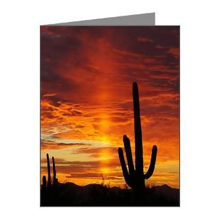 Gifts  Arizona Note Cards  Saguaro Sunset Note Cards (Pk of 10