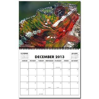 Chameleons of Madagascar 12 month 2013 Wall Calendar by wildmad7