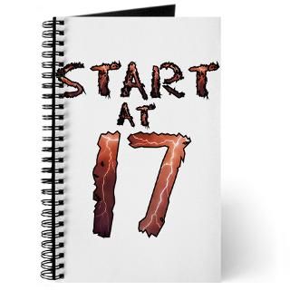 start at 17 Journal