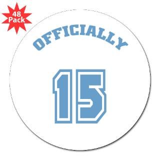 Happy Birthday 15 Year Old Stickers  Car Bumper Stickers, Decals