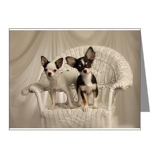 Gifts  Chihuahua Note Cards  Chihuahua Note Cards (Pk of 20