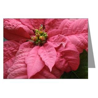Graphics Greeting Cards  Pink Poinsettia Greeting Cards (Pk of 20