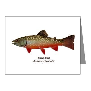Gifts  Brook Trout Note Cards  Brook Trout Note Cards (Pk of 20