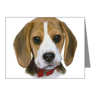 Beagle Note Cards  Adorable Beagle Puppy Note Cards (Pk of 20