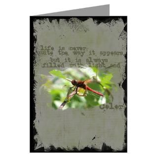 Gifts  Animal Greeting Cards  Dragonfly Greeting Cards (Pk of 20