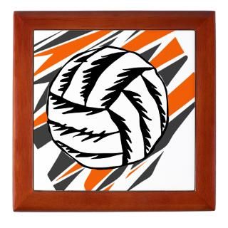 VOLLEYBALL {21}  orange,gray Keepsake B