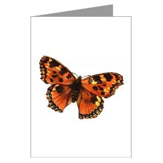 Bestseller Greeting Cards  Butterfly 25 Greeting Cards (Pk of 10