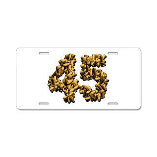 45 Bullet Aluminum License Plate for $19.50