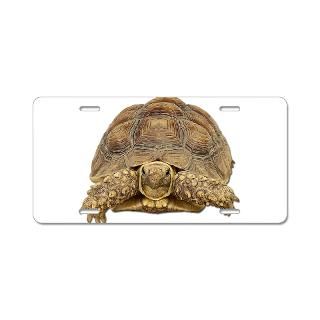 tortoise photo aluminum license plate $ 19 49