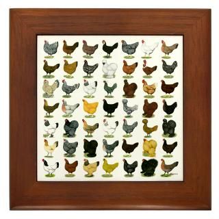 Animal Gifts  Animal Home Decor  49 Hen Breeds Framed Tile