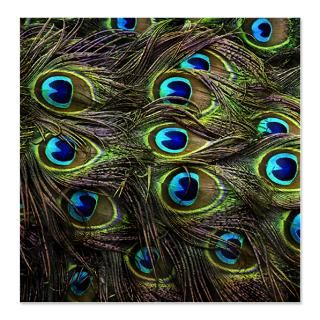 Peacock Shower Curtains  Custom Themed Peacock Bath Curtains