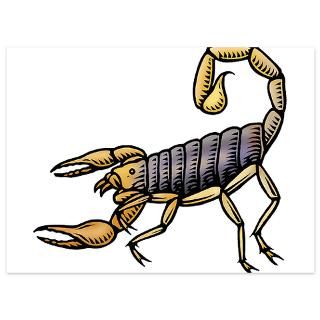 Scorpion 5.5 x 7.5 Flat Cards