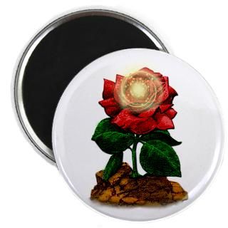 rose universe magnet $ 4 74
