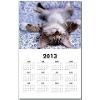 Cat lovers 2013 Wall Calendar by MIGHTYMACWHOLESALE