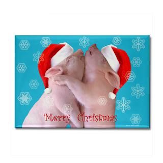 Christmas Snowflake Pigs  Jennie Marie Schell Photography Designs