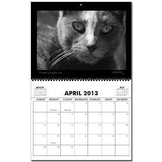 Black and White Cat 2013 Wall Calendar 2009 by StacyJMT