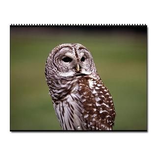 2013 Owls Calendar  Buy 2013 Owls Calendars Online