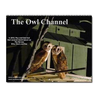 2013 Owls Calendar  Buy 2013 Owls Calendars Online