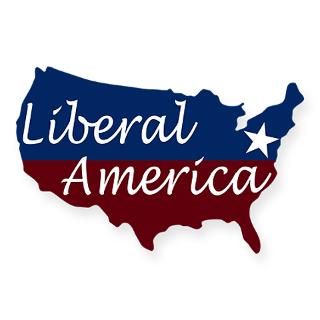 Liberal America Map USA Sticker  Progressive Patriots  Irregular