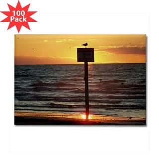 Beach Sunrise Rectangle Magnet (100 pack)