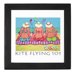 Kite Flying 101 Beach  StudioGumbo   Funny T Shirts and Gifts