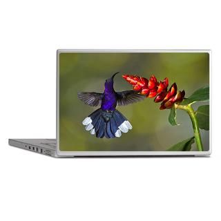 Gifts  V Laptop Skins  Violet Sabrewing Hummingbird Laptop