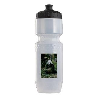 Bear Gifts  Bear Water Bottles  Panda Eating Trek Water Bottle