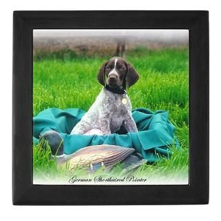 Edelmarke German Shorthaired Pointers Online Store  Edelmarke German