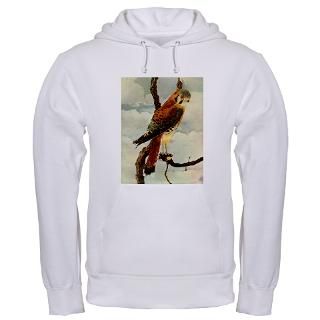 Hawk Hoodies & Hooded Sweatshirts  Buy Hawk Sweatshirts Online