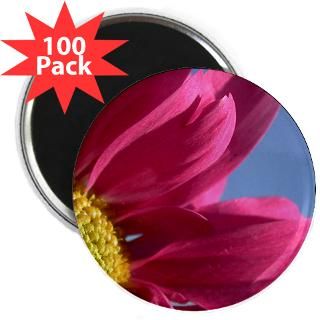 pink gerbera daisy 2 25 magnet 100 pack $ 116 99