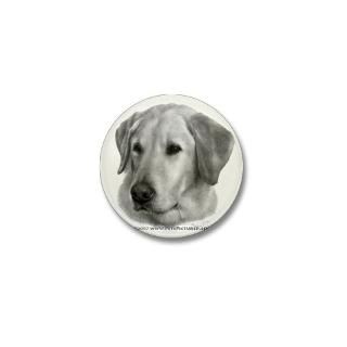 Sam, Yellow Labrador Retriever  PetsPictured Gear and Gifts